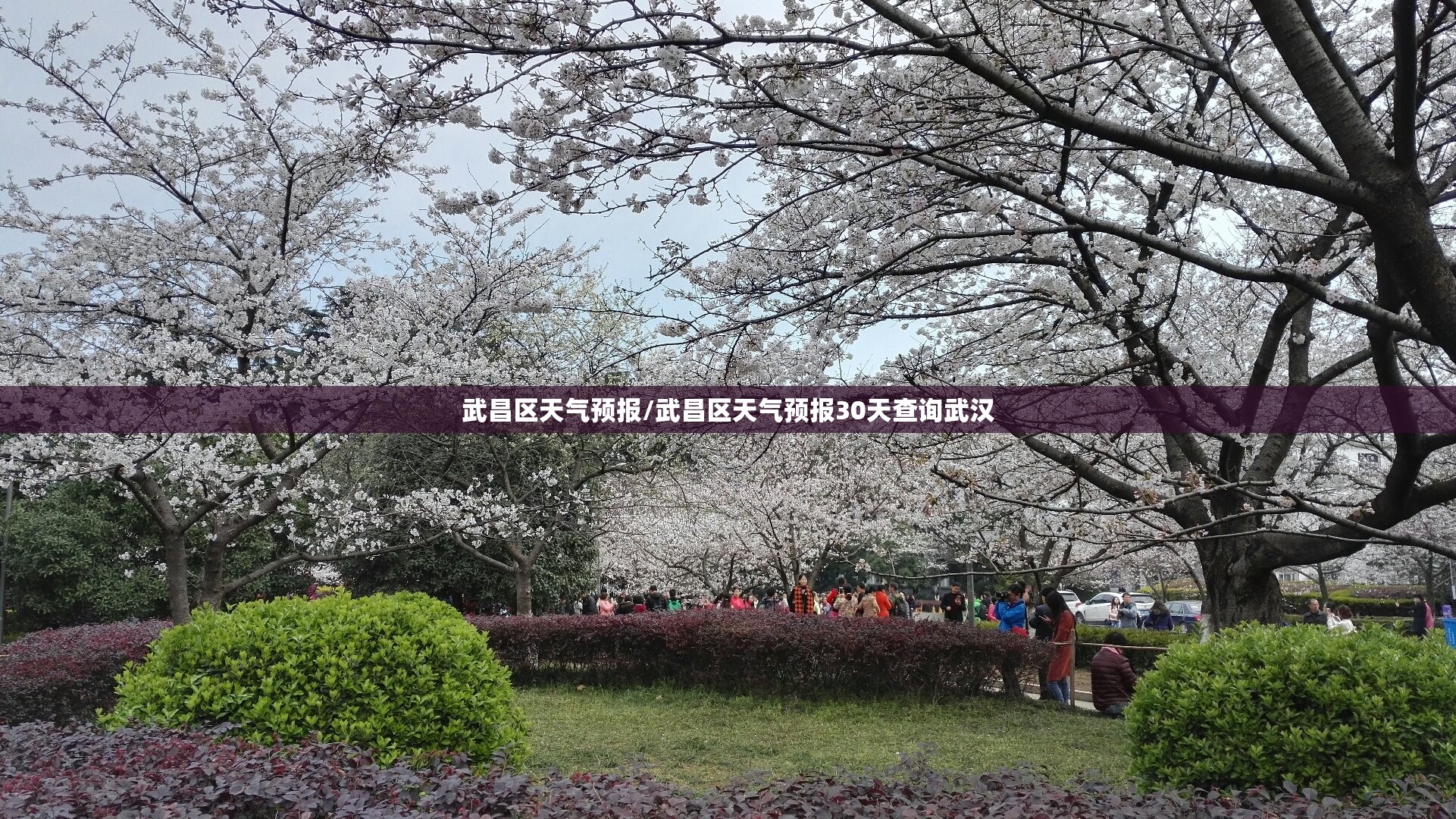 武昌区天气预报/武昌区天气预报30天查询武汉