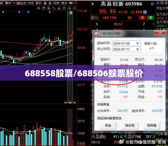 688558股票/688506股票股价 688558股票/688506股票股价