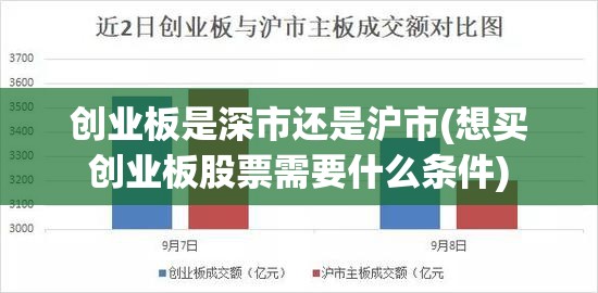 创业板是深市还是沪市(想买创业板股票需要什么条件) 创业板是深市还是沪市(想买创业板股票需要什么条件)