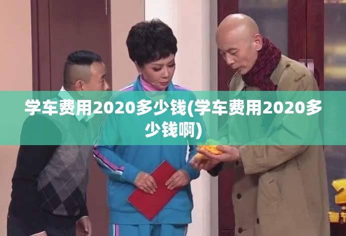 学车费用2020多少钱(学车费用2020多少钱啊)