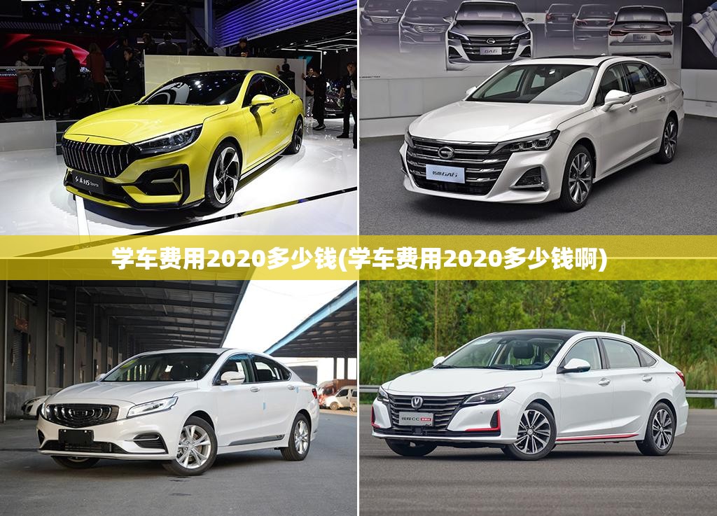 学车费用2020多少钱(学车费用2020多少钱啊)