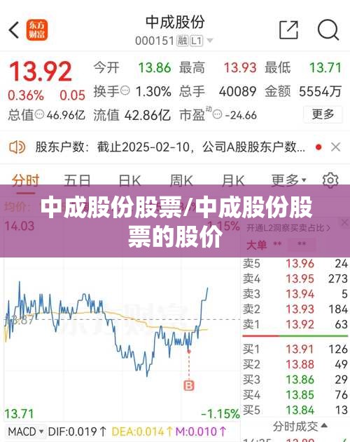 中成股份股票/中成股份股票的股价