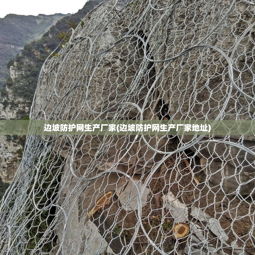 边坡防护网生产厂家(边坡防护网生产厂家地址) 边坡防护网生产厂家(边坡防护网生产厂家地址)