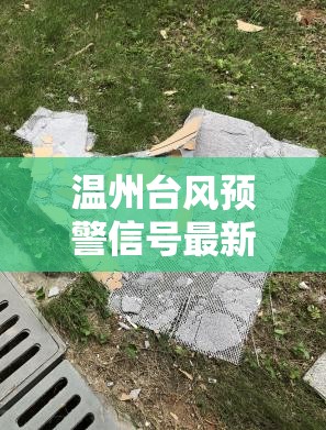 温州台风预警信号最新消息/温州台风预警信号怎么判 温州台风预警信号最新消息/温州台风预警信号怎么判