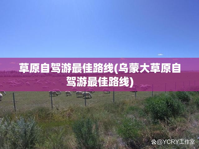 草原自驾游最佳路线(乌蒙大草原自驾游最佳路线) 草原自驾游最佳路线(乌蒙大草原自驾游最佳路线)