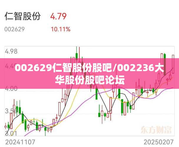 002629仁智股份股吧/002236大华股份股吧论坛