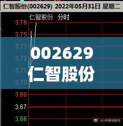 002629仁智股份股吧/002236大华股份股吧论坛
