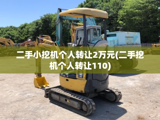 二手小挖机个人转让2万元(二手挖机个人转让110)