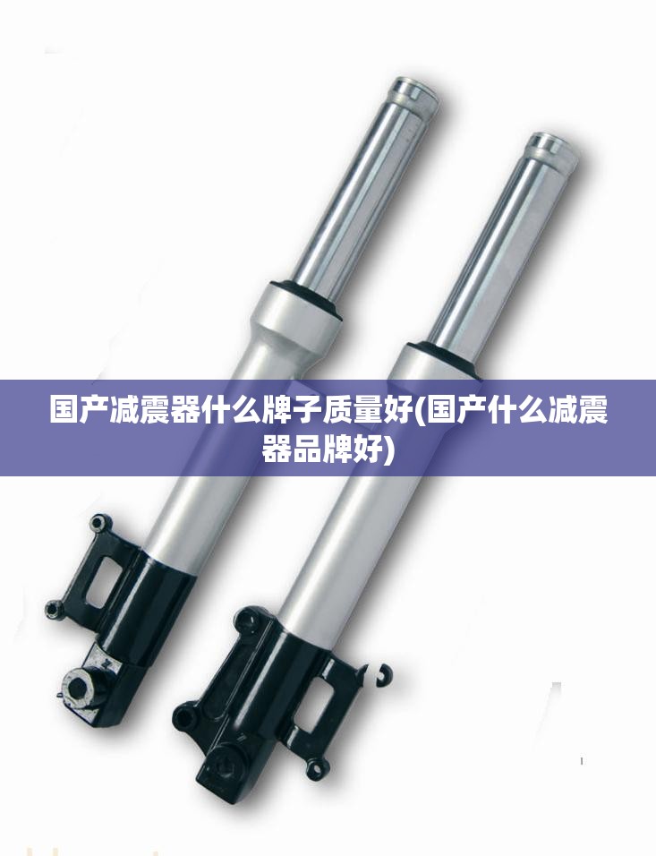国产减震器什么牌子质量好(国产什么减震器品牌好) 国产减震器什么牌子质量好(国产什么减震器品牌好)