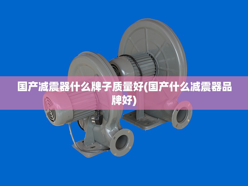 国产减震器什么牌子质量好(国产什么减震器品牌好) 国产减震器什么牌子质量好(国产什么减震器品牌好)