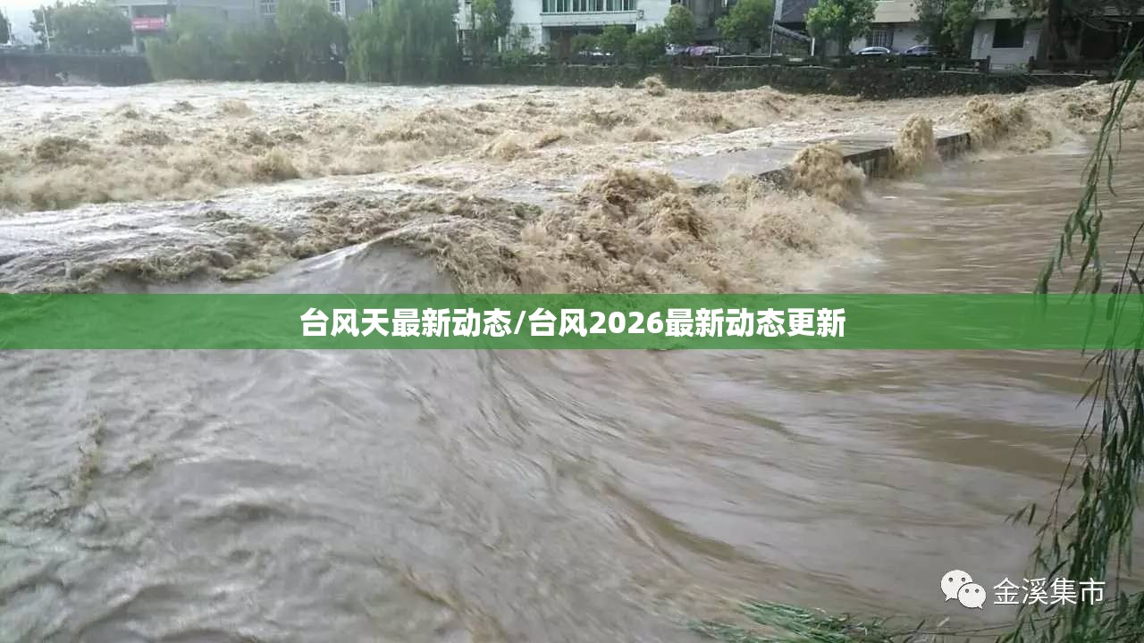 台风天最新动态/台风2026最新动态更新