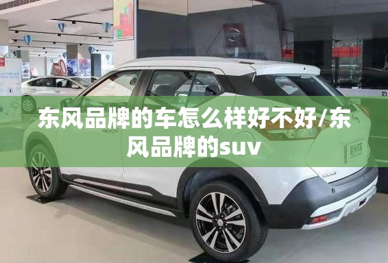 东风品牌的车怎么样好不好/东风品牌的suv 东风品牌的车怎么样好不好/东风品牌的suv