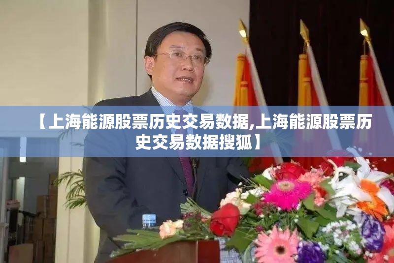 【上海能源股票历史交易数据,上海能源股票历史交易数据搜狐】