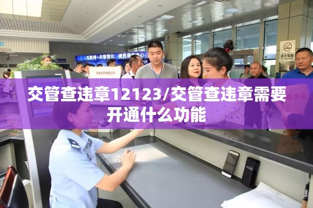 交管查违章12123/交管查违章需要开通什么功能 交管查违章12123/交管查违章需要开通什么功能