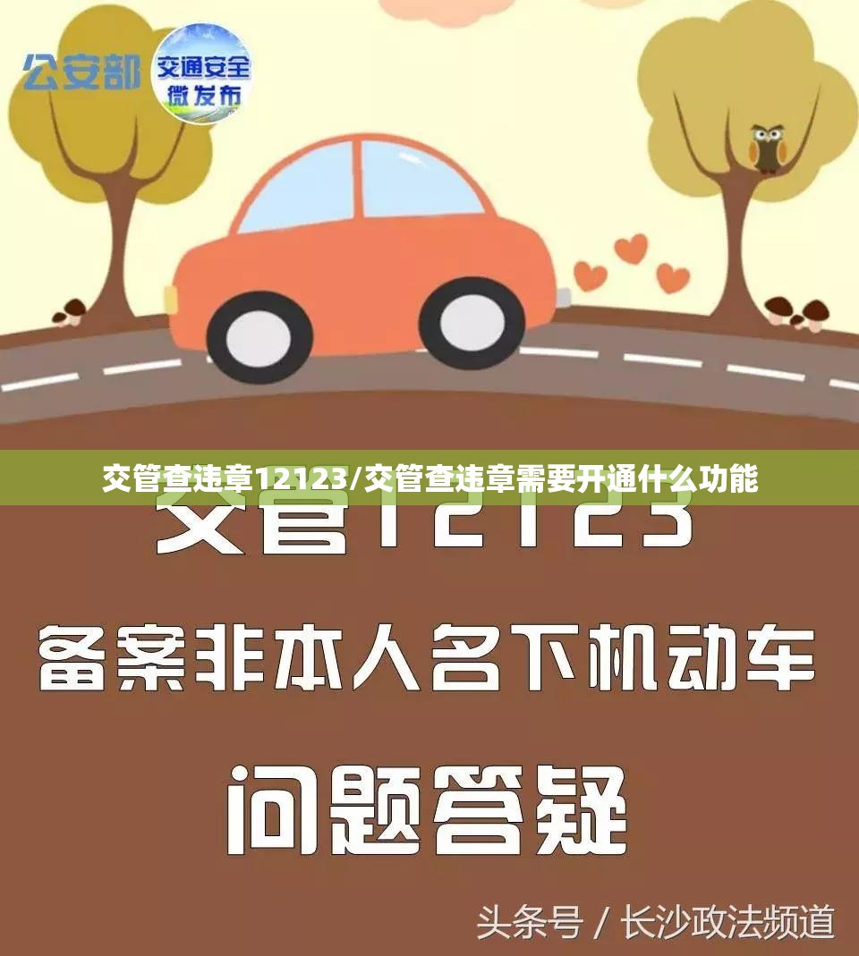 交管查违章12123/交管查违章需要开通什么功能 交管查违章12123/交管查违章需要开通什么功能