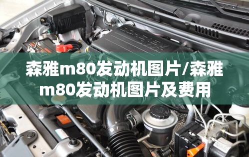 森雅m80发动机图片/森雅m80发动机图片及费用 森雅m80发动机图片/森雅m80发动机图片及费用
