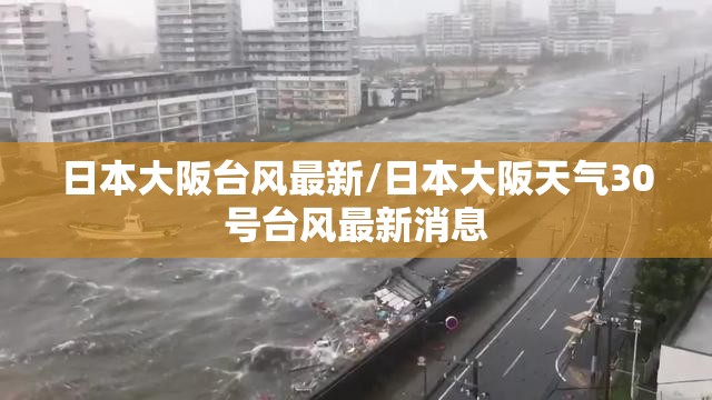 日本大阪台风最新/日本大阪天气30号台风最新消息 日本大阪台风最新/日本大阪天气30号台风最新消息