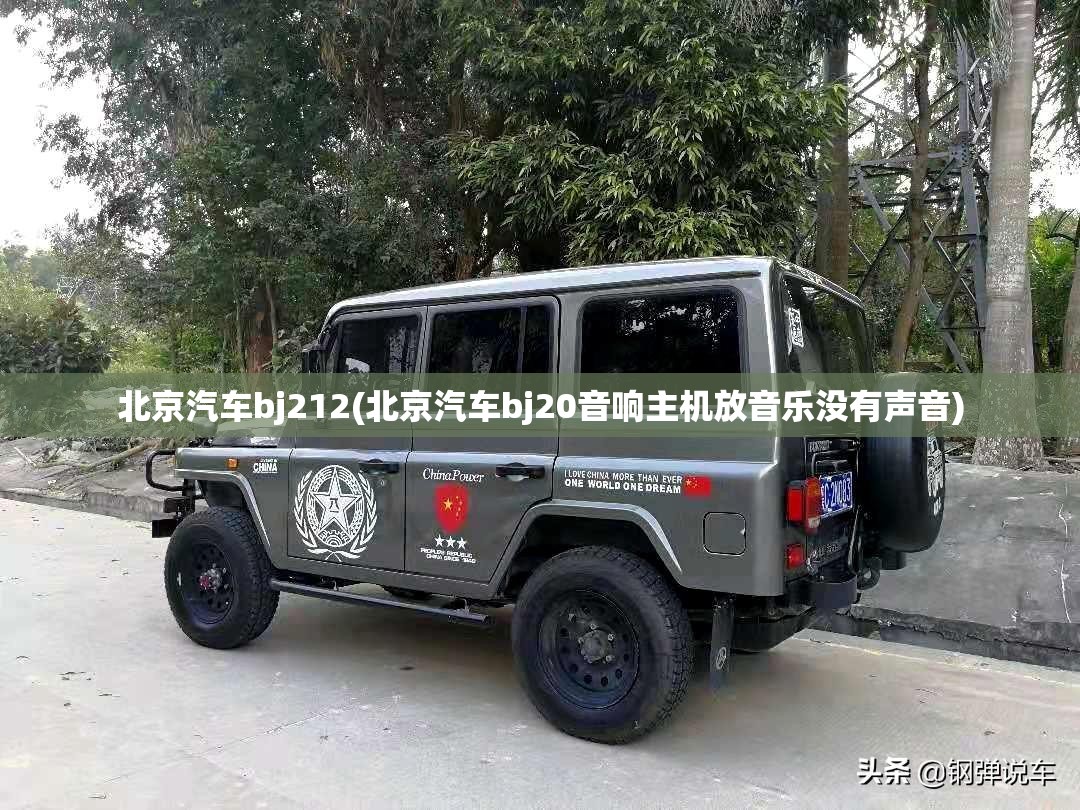 北京汽车bj212(北京汽车bj20音响主机放音乐没有声音)