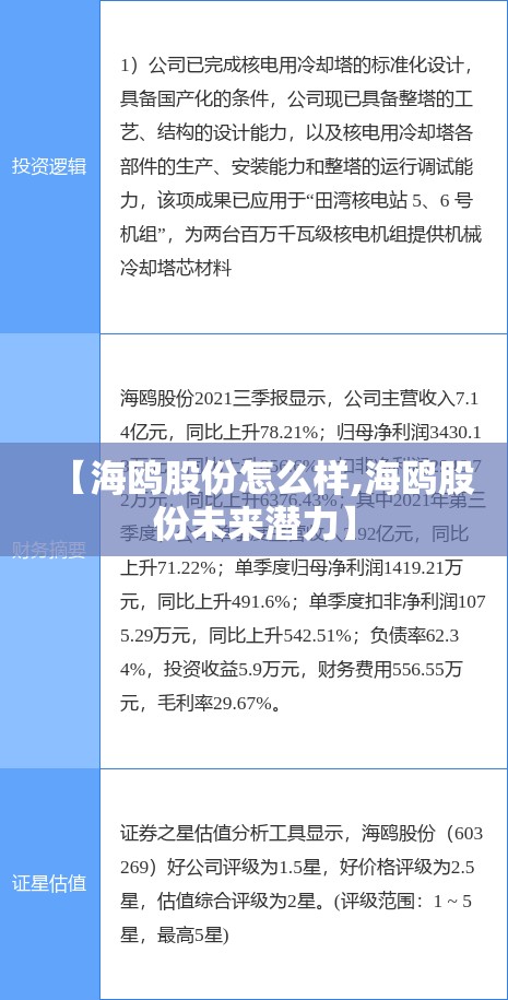 【海鸥股份怎么样,海鸥股份未来潜力】