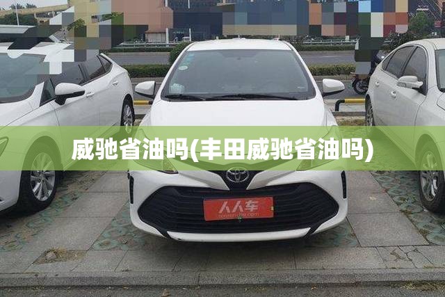 威驰省油吗(丰田威驰省油吗)