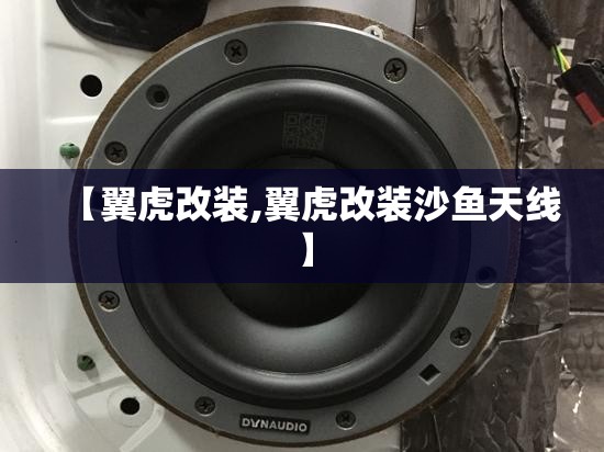 【翼虎改装,翼虎改装沙鱼天线】 【翼虎改装,翼虎改装沙鱼天线】