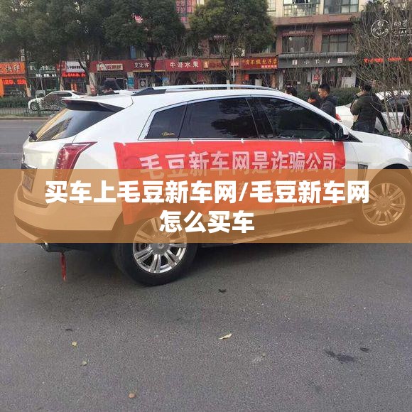 买车上毛豆新车网/毛豆新车网怎么买车 买车上毛豆新车网/毛豆新车网怎么买车
