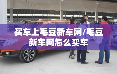 买车上毛豆新车网/毛豆新车网怎么买车 买车上毛豆新车网/毛豆新车网怎么买车