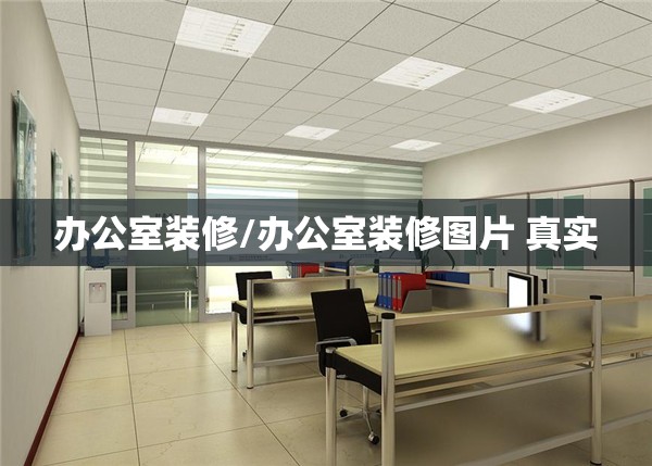 办公室装修/办公室装修图片 真实 办公室装修/办公室装修图片 真实