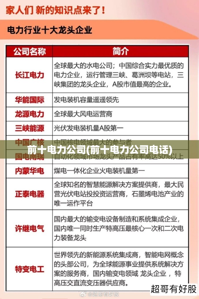 前十电力公司(前十电力公司电话) 前十电力公司(前十电力公司电话)