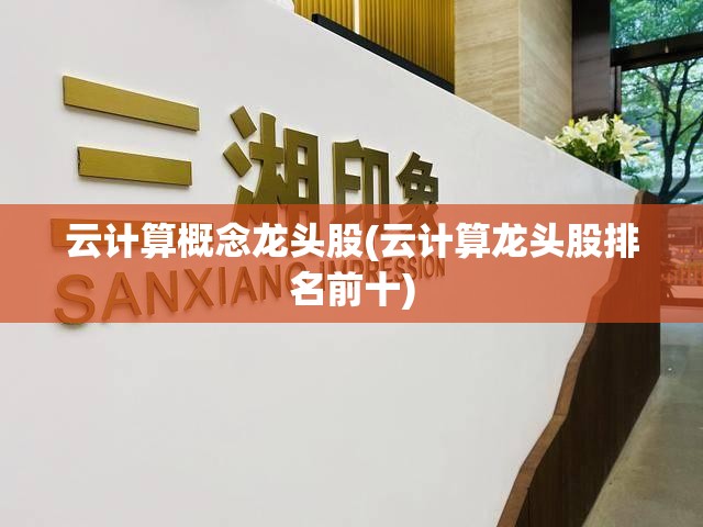 云计算概念龙头股(云计算龙头股排名前十)