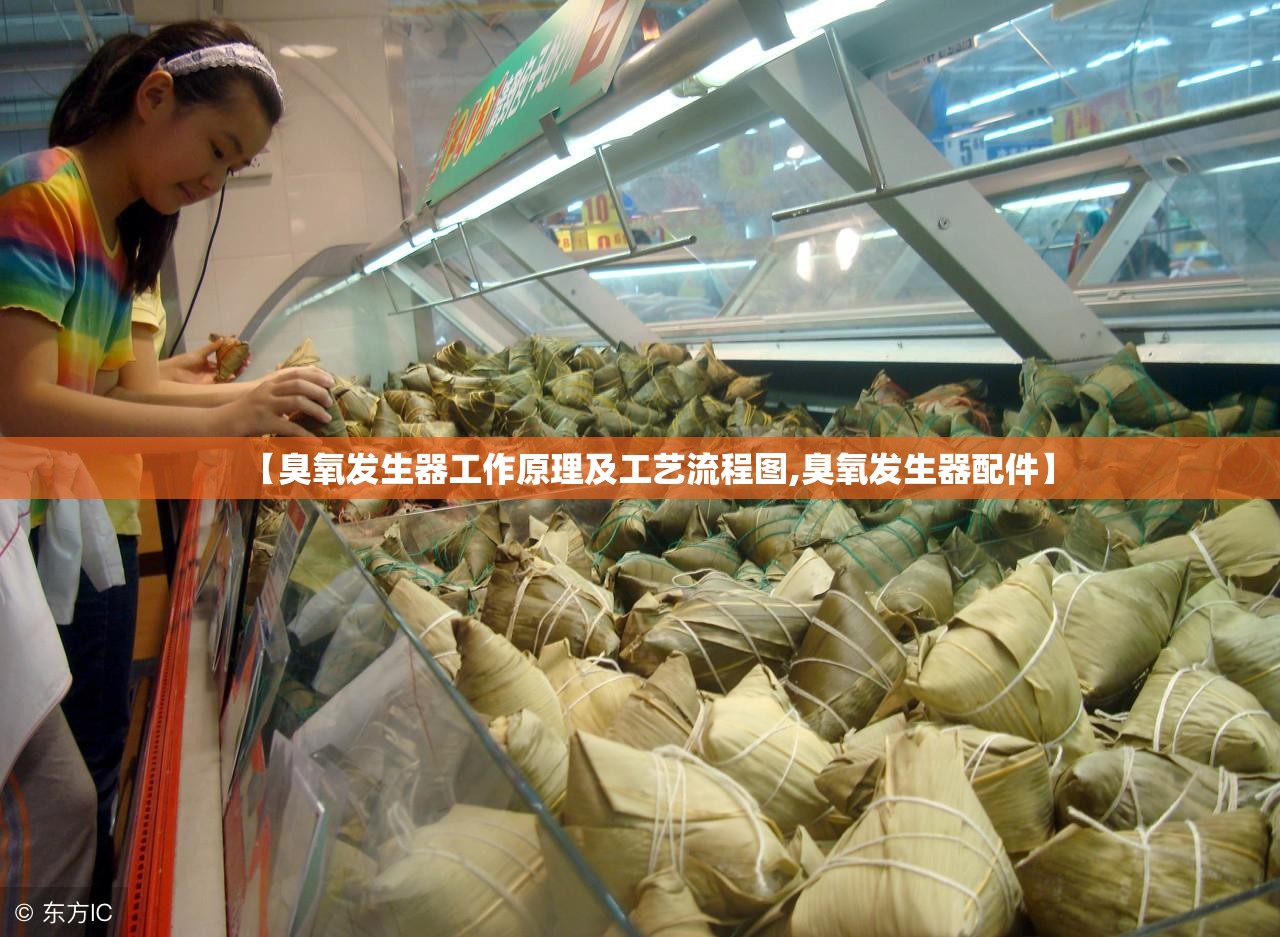 【臭氧发生器工作原理及工艺流程图,臭氧发生器配件】 【臭氧发生器工作原理及工艺流程图,臭氧发生器配件】