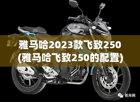 雅马哈2023款飞致250(雅马哈飞致250的配置)